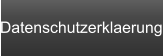 Datenschutzerklaerung